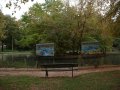 Lots of birds round the lake