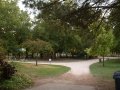 A Pleasant walk in the park